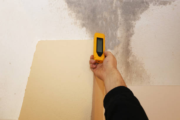 Best HVAC Mold Inspection and Cleaning  in Orange Beach, AL