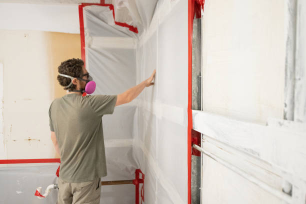 Best Flood Damage  in Orange Beach, AL