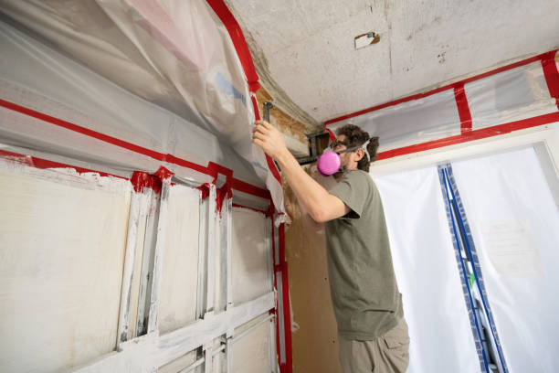 Best Water Damage & Mold Remediation  in Orange Beach, AL