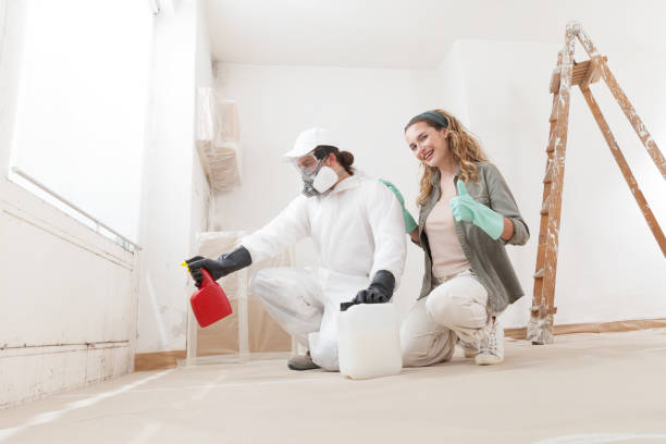 Best Mold Prevention Services  in Orange Beach, AL